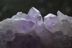 Natural Jacaranda Amethyst Clusters  x 2 From Zambia - Toprock Gemstones and Minerals 