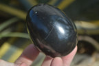Polished Black Basalt Gemstone Eggs x 6 From Antsirabe, Madagascar - Toprock Gemstones and Minerals 