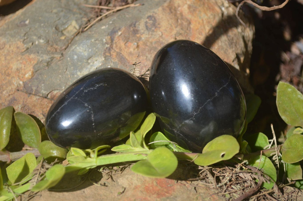 Polished Black Basalt Gemstone Eggs x 6 From Antsirabe, Madagascar - Toprock Gemstones and Minerals 