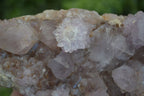 Natural Spirit Amethyst Quartz Clusters  x 3 From Boekenhouthoek, South Africa - Toprock Gemstones and Minerals 