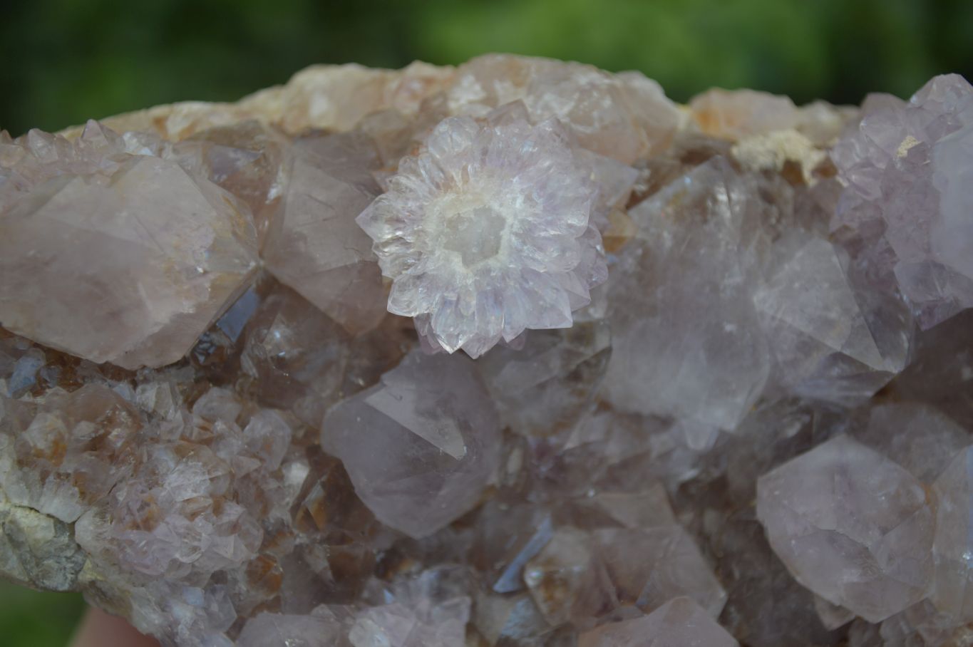 Natural Spirit Amethyst Quartz Clusters  x 3 From Boekenhouthoek, South Africa - Toprock Gemstones and Minerals 