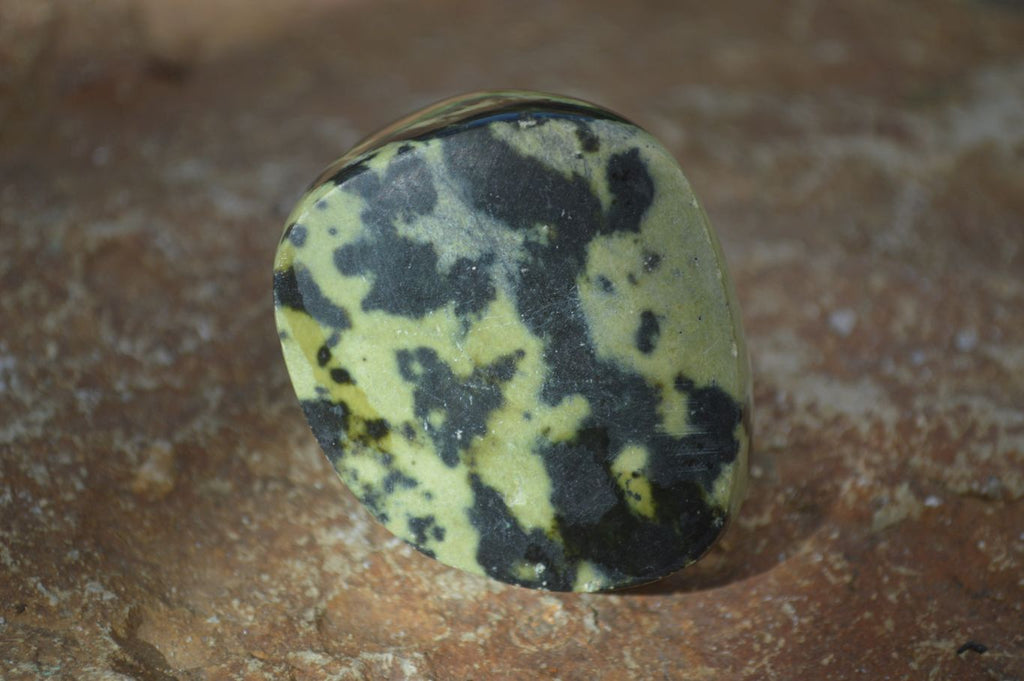 Polished Spotted Leopard Stone Free Forms  x 12 From Zimbabwe - Toprock Gemstones and Minerals 