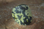 Polished Spotted Leopard Stone Free Forms  x 12 From Zimbabwe - Toprock Gemstones and Minerals 