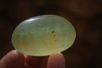Polished Emerald Fluorite Palm Stones  x 20 From Madagascar