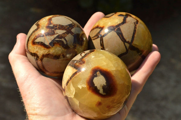 Polished Septarian (Calcite & Aragonite) Spheres  x 4 From Mahajanga, Madagascar - TopRock