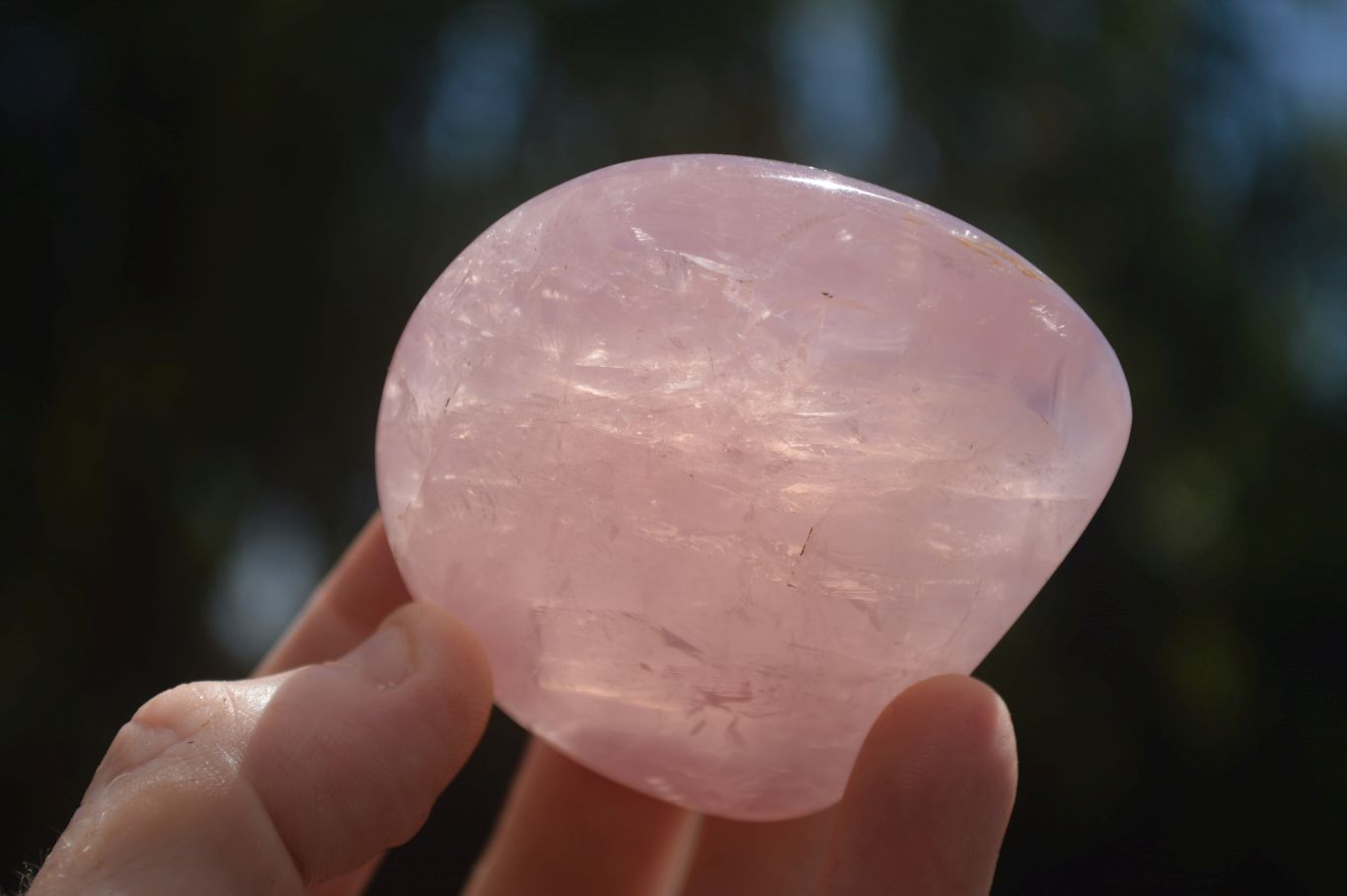 Polished Gemmy Pink Rose Quartz Standing Free Forms  x 6 From Ambatondrazaka, Madagascar - TopRock