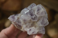 Natural Sugar Amethyst Clusters  x 4 From Solwezi, Zambia - Toprock Gemstones and Minerals 