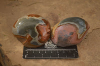 Polished One Side Polished Polychrome Jasper Nodules  x 12 From Mahajanga, Madagascar - Toprock Gemstones and Minerals 