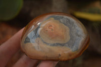 Polished One Side Polished Polychrome Jasper Nodules  x 12 From Mahajanga, Madagascar - Toprock Gemstones and Minerals 
