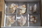 Natural Spirit Amethyst Quartz Clusters x 6 From Boekenhouthoek, South Africa - Toprock Gemstones and Minerals 