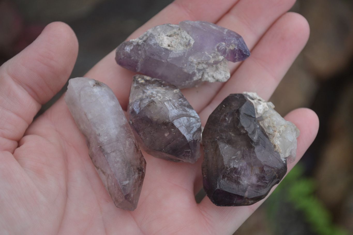 Natural Window Amethyst Crystal Specimens  x 12 From Chiredzi, Zimbabwe - Toprock Gemstones and Minerals 
