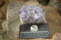 Natural Sugar Amethyst Clusters  x 4 From Solwezi, Zambia - Toprock Gemstones and Minerals 