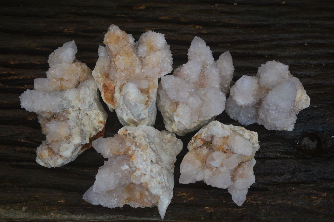 Natural Spirit Amethyst Quartz Clusters x 6 From Boekenhouthoek, South Africa - Toprock Gemstones and Minerals 