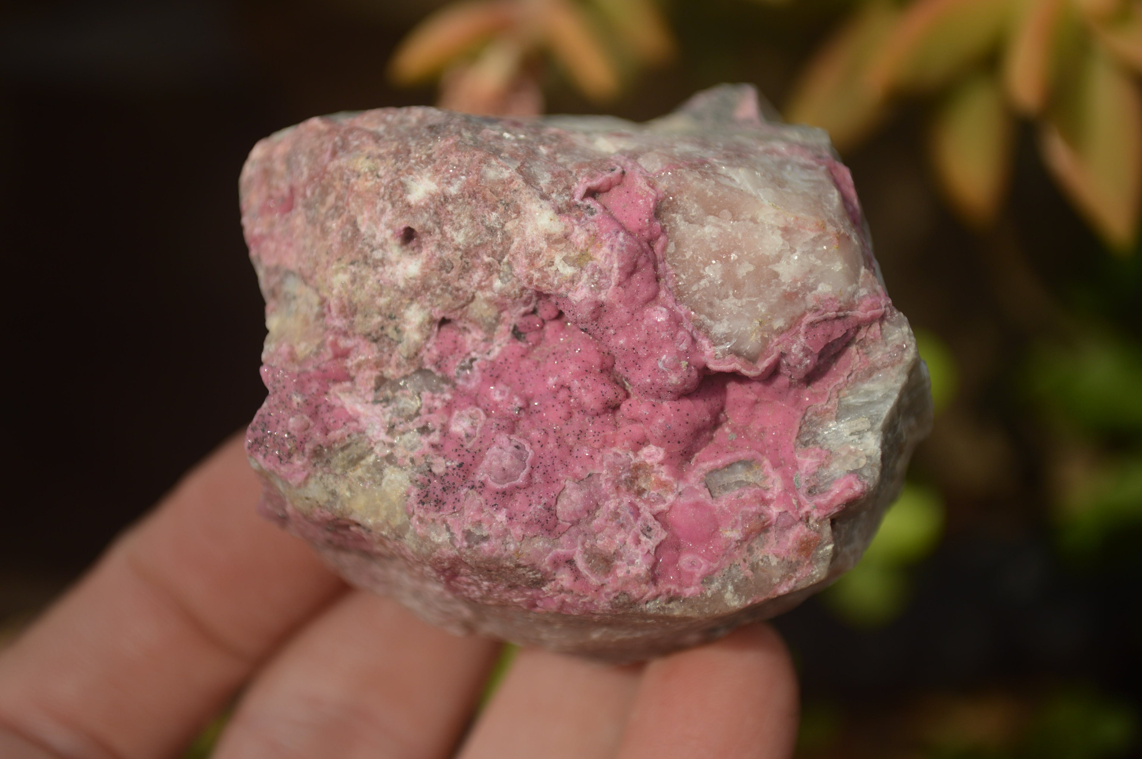 Natural Salrose Cobaltion Dolomite Specimens x 12 From Kakanda, Congo - Toprock Gemstones and Minerals 