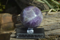 Polished Chevron Amethyst Spheres x 2 From Zambia - Toprock Gemstones and Minerals 