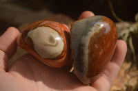 Polished One Side Polished Polychrome Jasper Nodules  x 12 From Mahajanga, Madagascar - Toprock Gemstones and Minerals 