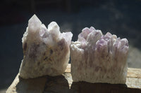 Natural Sugar Amethyst Clusters  x 4 From Solwezi, Zambia - Toprock Gemstones and Minerals 
