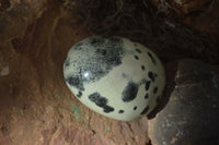 Polished Spotted Leopard Stone Gallets  x 6 From Zimbabwe - Toprock Gemstones and Minerals 