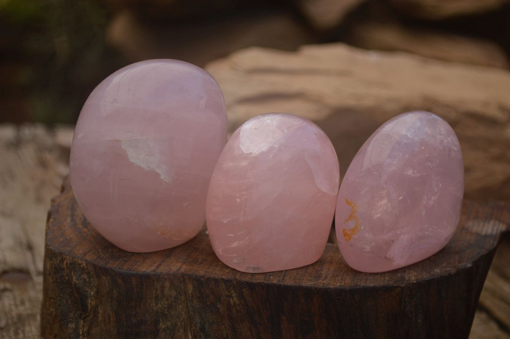 Polished Gemmy Pink Rose Quartz Standing Free Forms  x 6 From Ambatondrazaka, Madagascar - TopRock