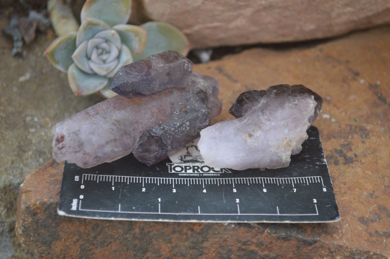 Natural Window Amethyst Crystal Specimens  x 12 From Chiredzi, Zimbabwe - Toprock Gemstones and Minerals 