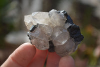 Natural Schorl Black Tourmaline Specimens x 6 From Erongo, Namibia - Toprock Gemstones and Minerals 