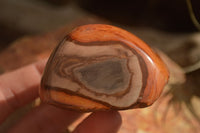 Polished One Side Polished Polychrome Jasper Nodules  x 12 From Mahajanga, Madagascar - Toprock Gemstones and Minerals 