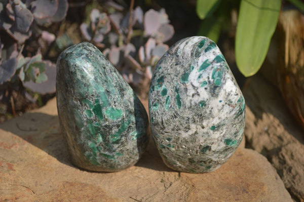 Polished Rare Emerald Mica In Matrix Standing Free Forms x 6 From Mutoko, Zimbabwe - Toprock Gemstones and Minerals 