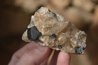Natural Schorl Black Tourmaline Specimens x 6 From Erongo, Namibia - Toprock Gemstones and Minerals 