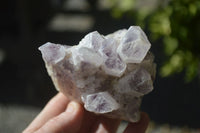 Natural Sugar Amethyst Clusters  x 4 From Solwezi, Zambia - Toprock Gemstones and Minerals 