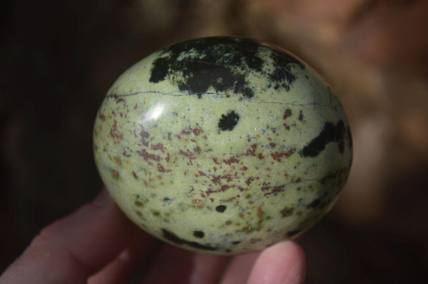 Polished Spotted Leopard Stone Gallets  x 6 From Zimbabwe - Toprock Gemstones and Minerals 