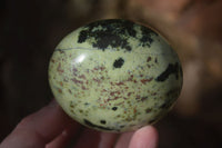 Polished Spotted Leopard Stone Gallets  x 6 From Zimbabwe - Toprock Gemstones and Minerals 