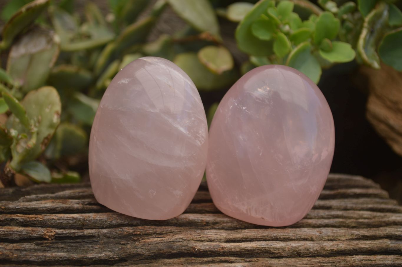 Polished Gemmy Pink Rose Quartz Standing Free Forms  x 6 From Ambatondrazaka, Madagascar - TopRock