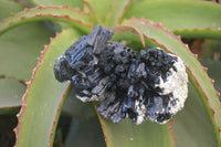 Natural Schorl Black Tourmaline Specimens x 6 From Erongo, Namibia - Toprock Gemstones and Minerals 