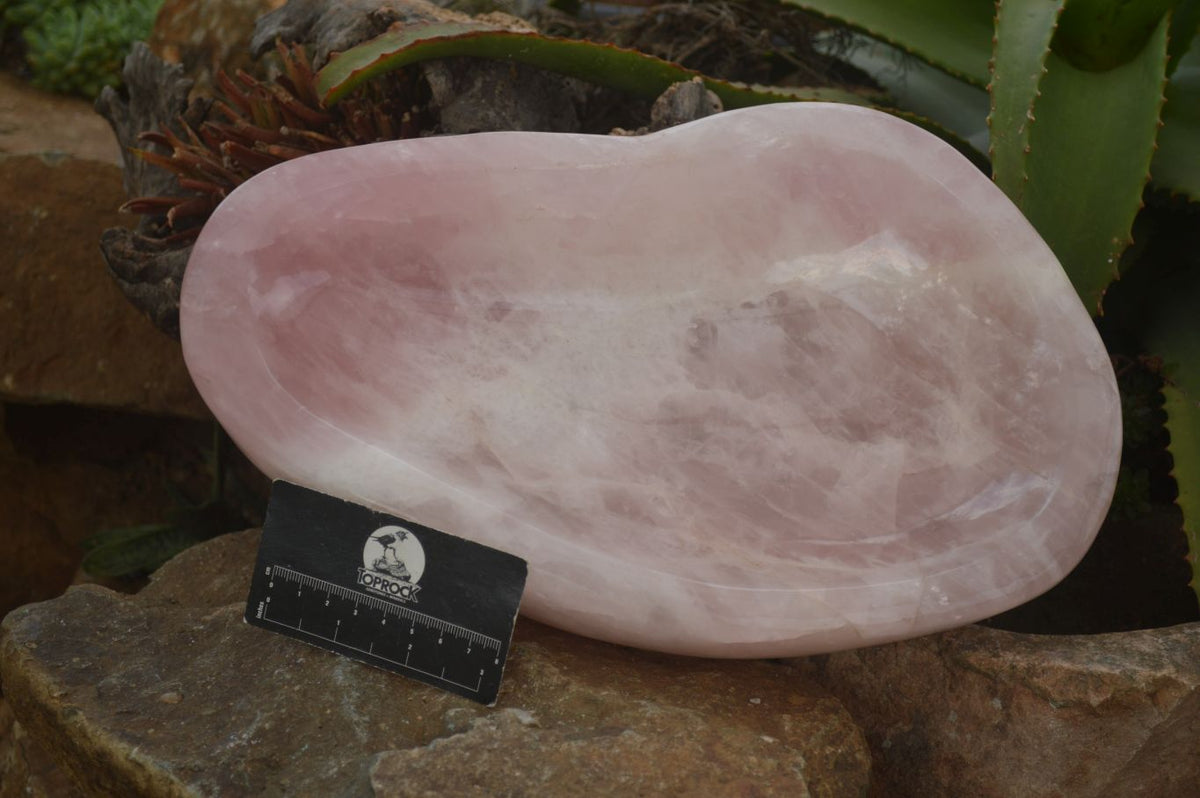 Polished Large Pink Rose Quartz Bowl  x 1 From Ambatondrazaka, Madagascar - Toprock Gemstones and Minerals 