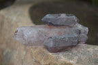 Natural Window Amethyst Crystal Specimens  x 12 From Chiredzi, Zimbabwe - Toprock Gemstones and Minerals 