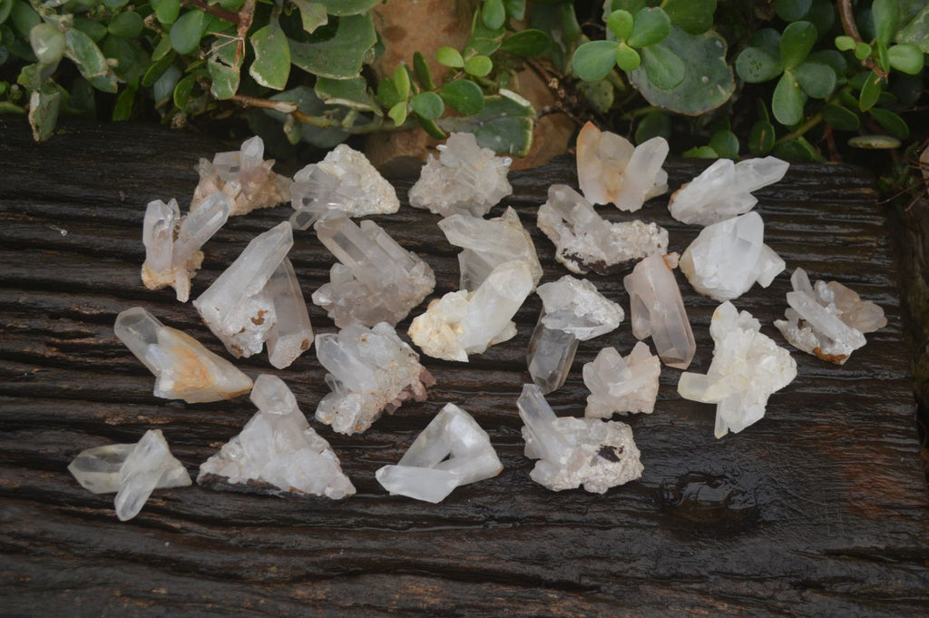 Natural Small Quartz Clusters  x 35 From Madagascar - Toprock Gemstones and Minerals 