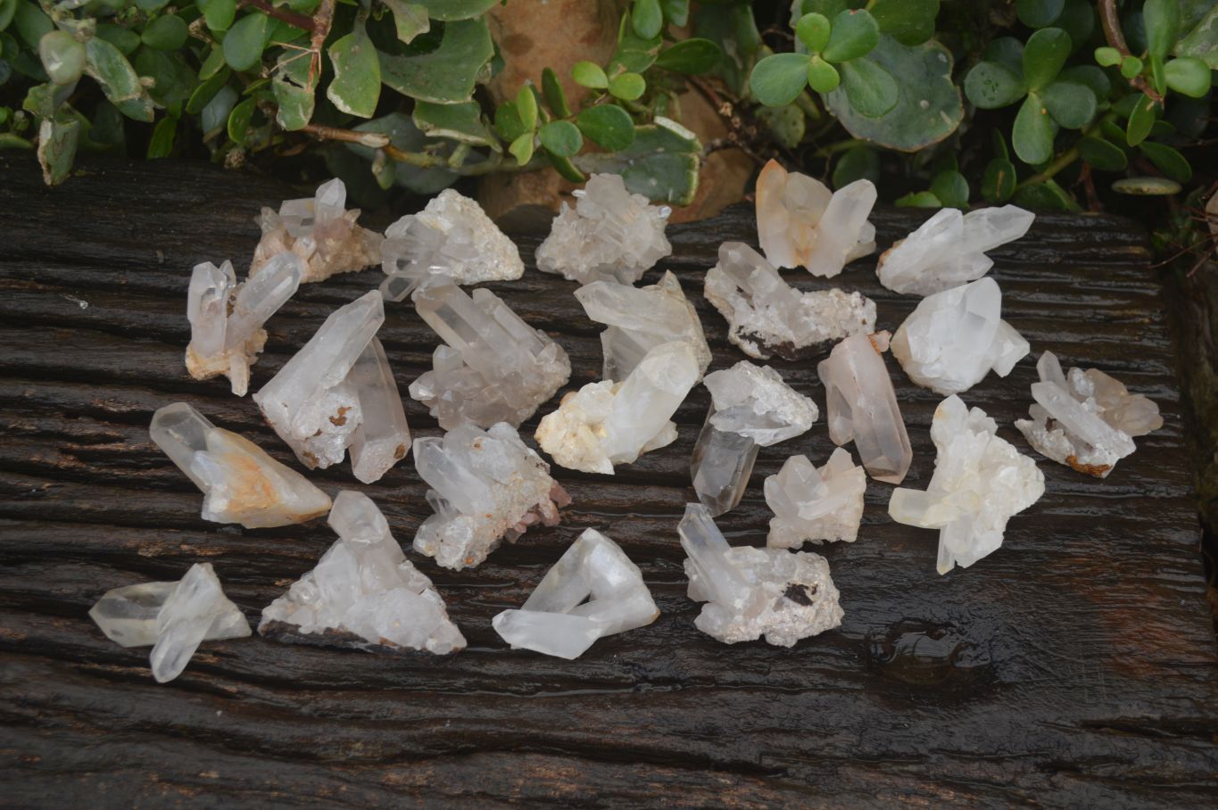 Natural Small Quartz Clusters  x 35 From Madagascar - Toprock Gemstones and Minerals 