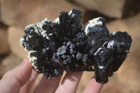 Natural Schorl Black Tourmaline Specimens x 6 From Erongo, Namibia - Toprock Gemstones and Minerals 