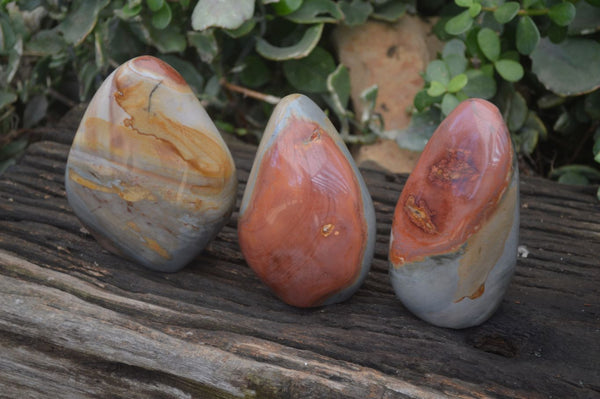 Polished Polychrome / Picasso Jasper Standing Free Forms  x 3 From Madagascar - Toprock Gemstones and Minerals 