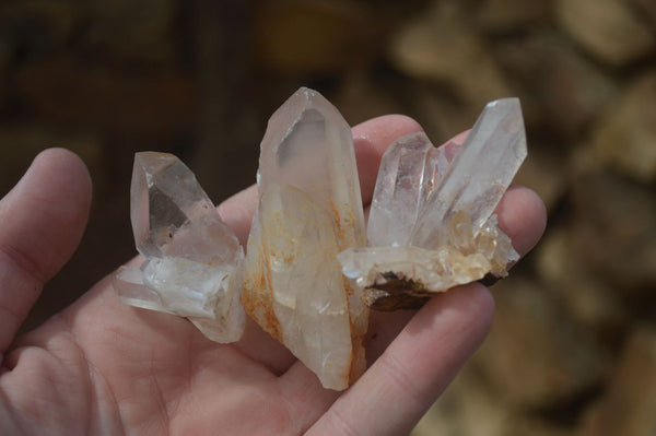 Natural Small Quartz Clusters  x 35 From Madagascar - Toprock Gemstones and Minerals 