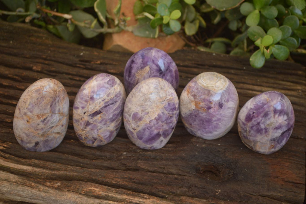 Polished  Dream Amethyst Standing Free Forms x 6 From Madagascar - Toprock Gemstones and Minerals 