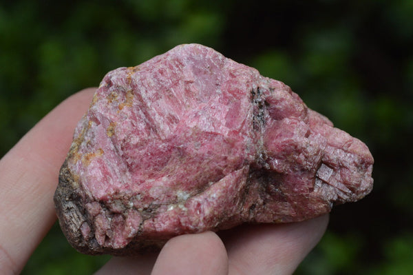 Natural Pink Rhodonite Cobbed Pieces (Medium Sized) x 12 From Rushinga, Zimbabwe - TopRock