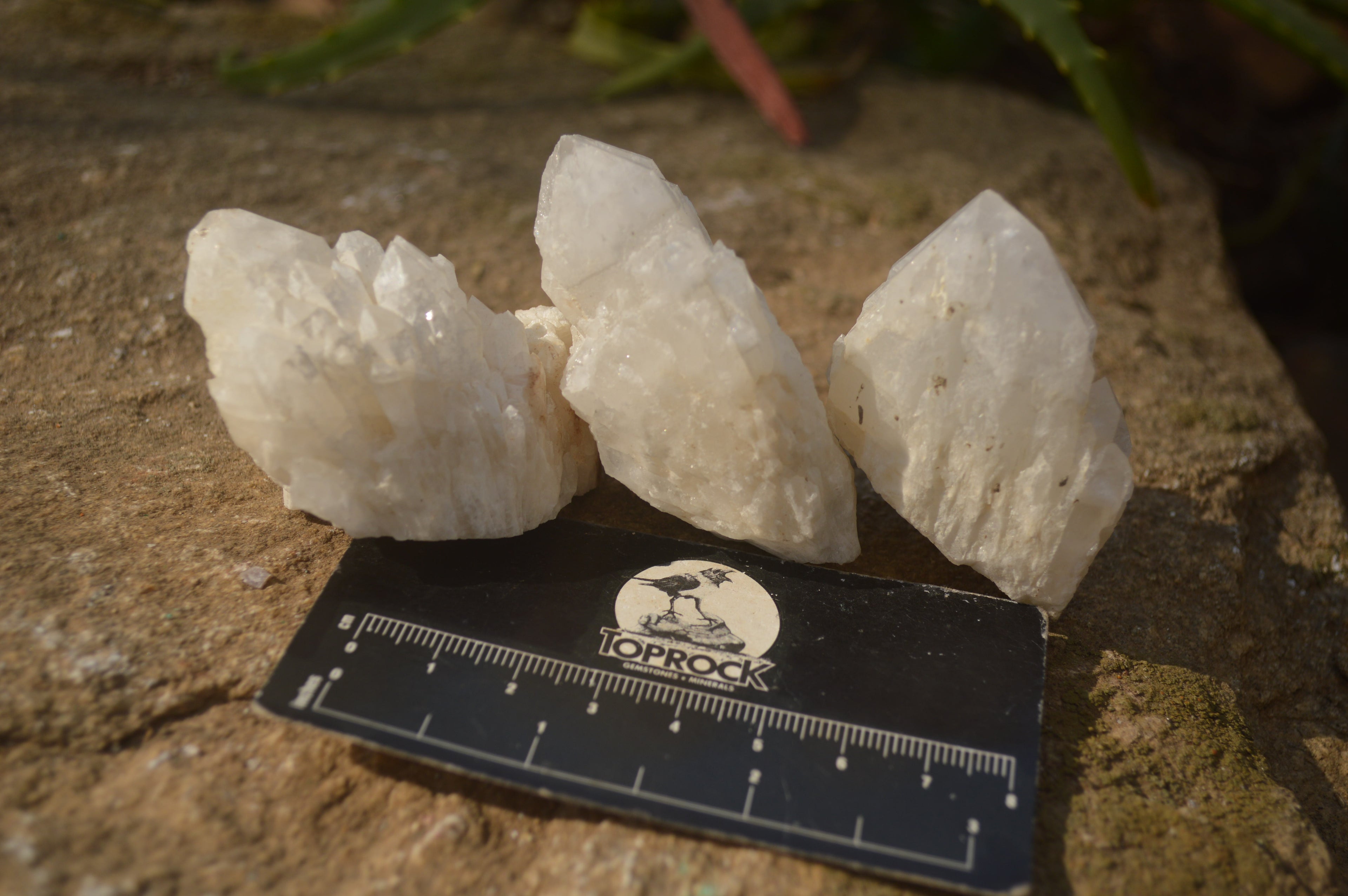 Natural Pineapple Quartz Crystals  x 35 From Madagascar - Toprock Gemstones and Minerals 