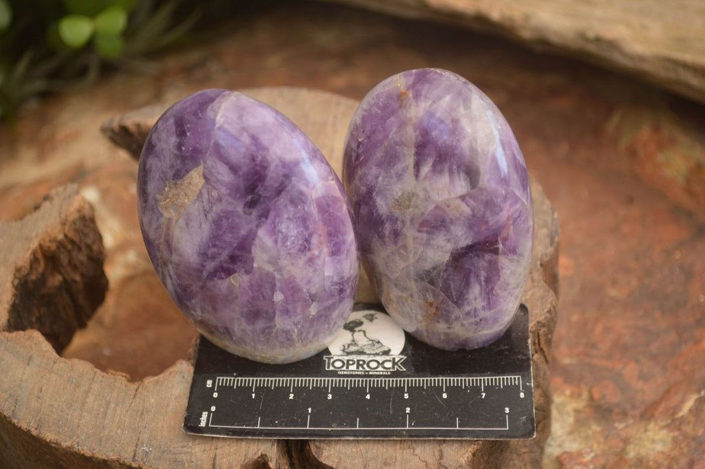 Polished  Dream Amethyst Standing Free Forms x 6 From Madagascar - Toprock Gemstones and Minerals 
