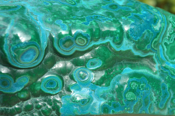 Polished XL Malacholla Free Form With Blue & Green Ring Patterns x 1 From Congo - TopRock