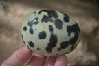 Polished Spotted Leopard Stone Gallets  x 6 From Zimbabwe - Toprock Gemstones and Minerals 