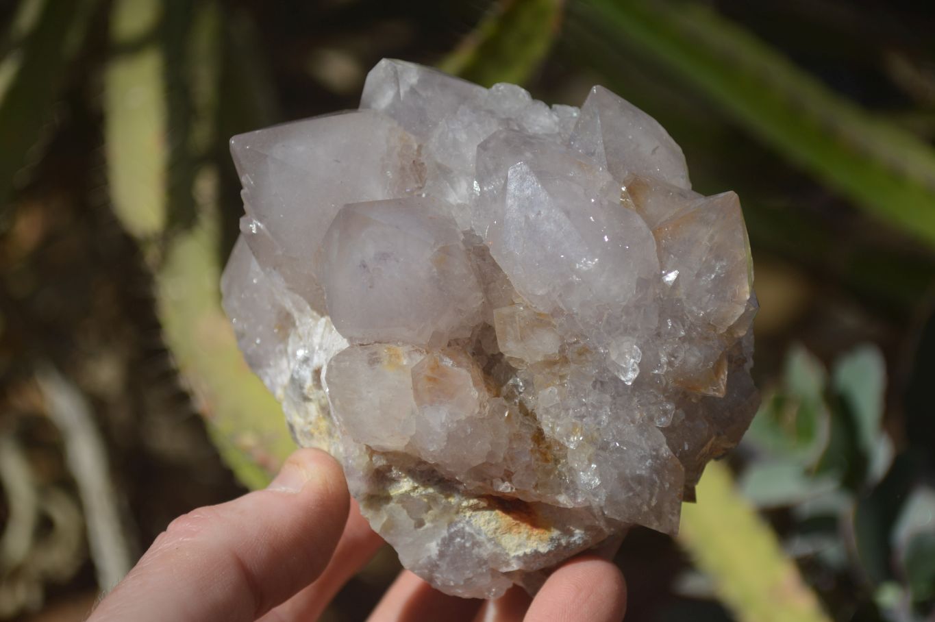 Natural Smokey Spirit Quartz Clusters x 3 From Boekenhouthoek, South Africa - Toprock Gemstones and Minerals 