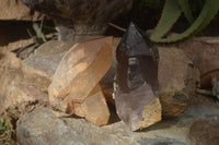 Polished Double Terminated Smokey Quartz Crystals  x 2 From Southern Africa - Toprock Gemstones and Minerals 