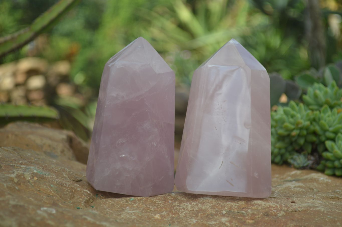 Polished Gemmy Pink Rose Quartz Points  x 3 From Madagascar - Toprock Gemstones and Minerals 
