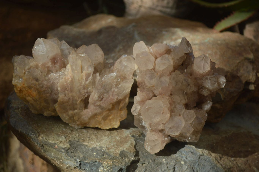 Natural Cascading Smokey Quartz Clusters x 2 From Luena, Congo - Toprock Gemstones and Minerals 